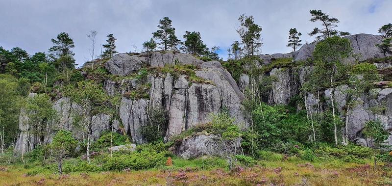 Preikestolen cliff
