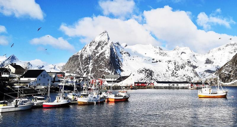Runde island with puffins