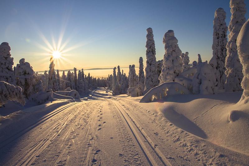 Midnight sun